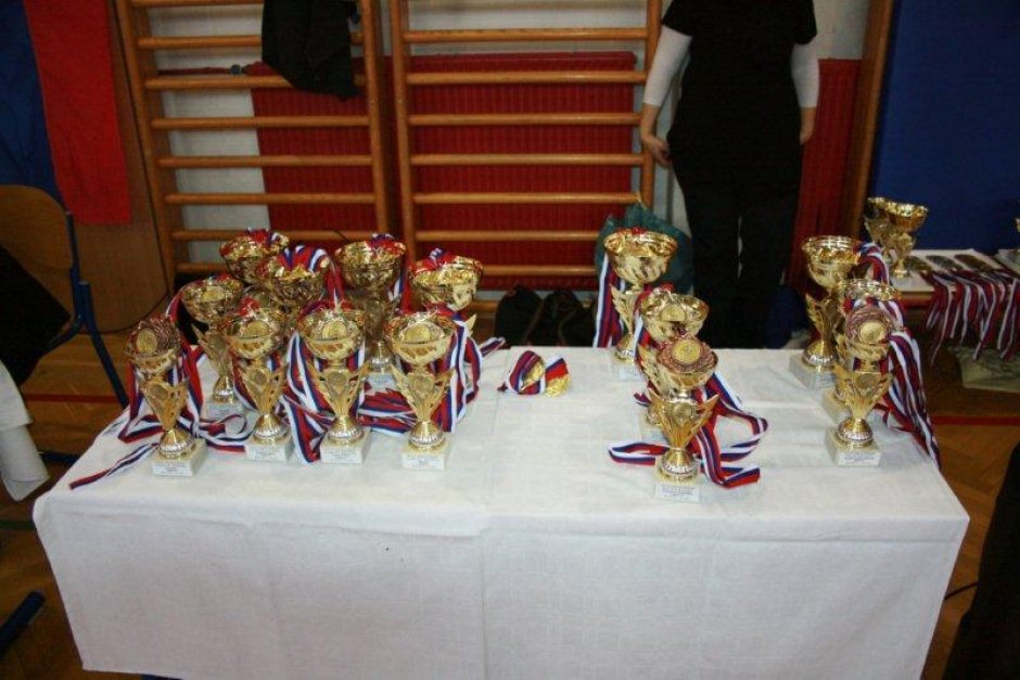 Liga tekmovanje, Škofljica 2013
